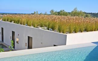 The water surfaces and green roofs are deliberate design elements. © egreen / ZinCo Green roof with ornamental grasses and pool in front
